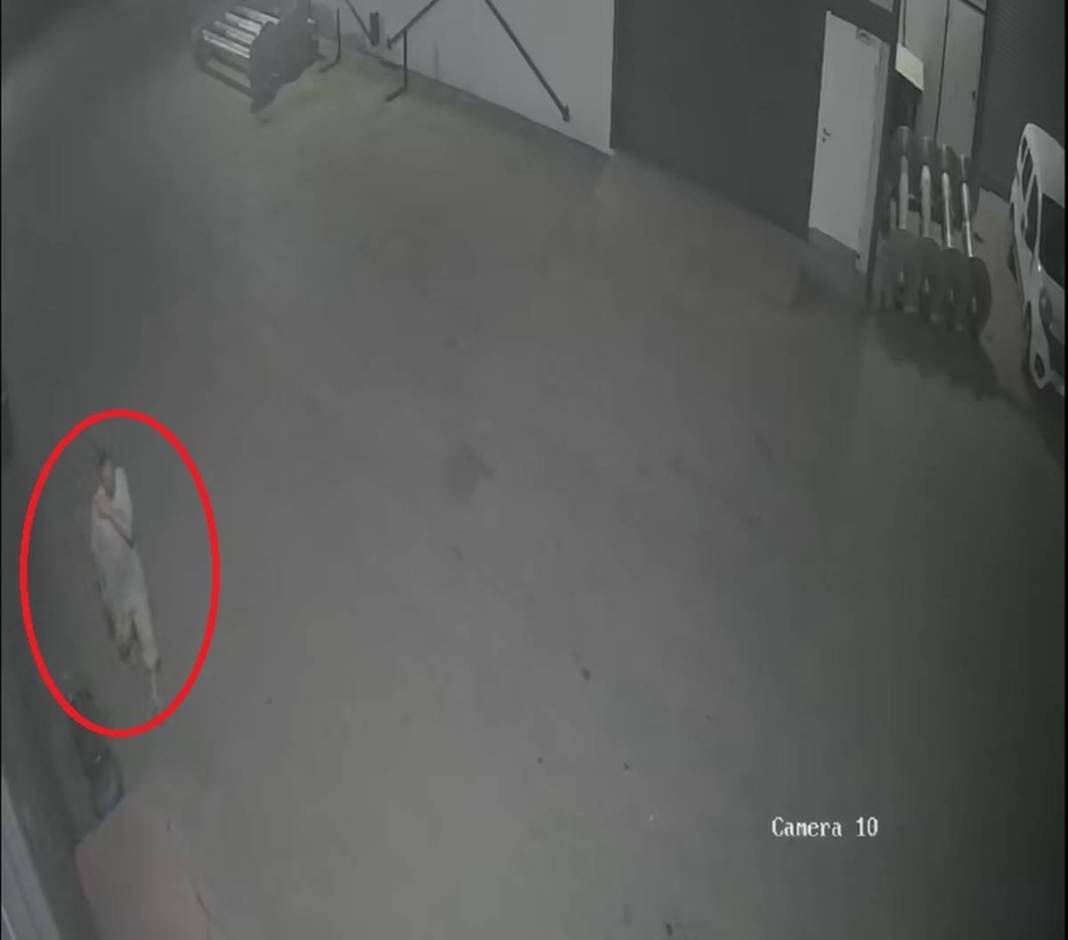 3 dakika önce sağlam girdiği işyerinde yarı çıplak baygın bulundu: Üzerine toka bırakılmıştı! Hastanede yaşamını yitirdi 29